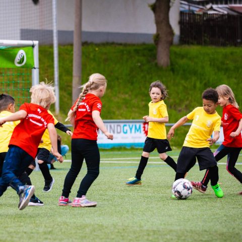 15. Mehrere Kindergartenkinder in roten und gelben Trikots spielen dynamisch Fußball bei einem Turnier auf dem Sportplatz.