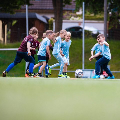 6. Dynamische Spielszene beim Kindergarten-Cup: Kinder in hellblauen und weinroten T-Shirts kämpfen auf dem Rasen um den Fußball.